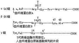 血漿纖維蛋白原