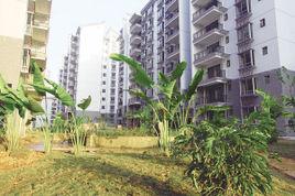 振寧花園 振寧花園