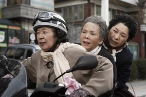 《奶奶強盜團》