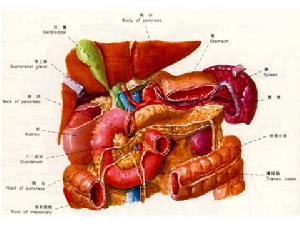 先天性十二指腸閉鎖