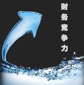 財務競爭力 財務競爭力