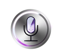 語音查詢 語音查詢