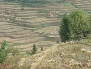 河馬大寨村 河馬大寨村