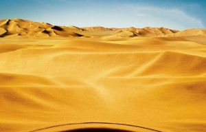 沙漠[為流沙、沙丘所覆蓋的地形]