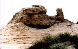 沙棗園子自然保護區 沙棗園子自然保護區