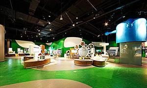 浙江飛揚旅行社 浙江飛揚旅行社