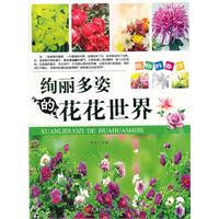 絢麗多姿的花花世界 絢麗多姿的花花世界