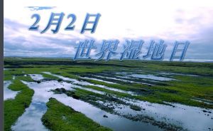 世界濕地日