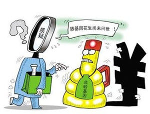 非轉基因 非轉基因