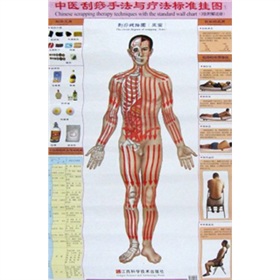 中醫刮痧手法與療法標準掛圖
