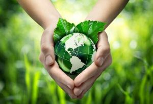 環保服務業 環保服務業