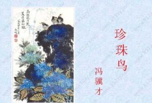 珍珠鳥