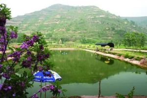 倪家坡村 倪家坡村