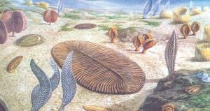 淮南生物群遺蹟