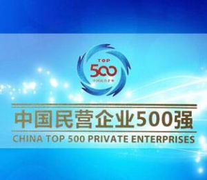 2016中國民營企業500強