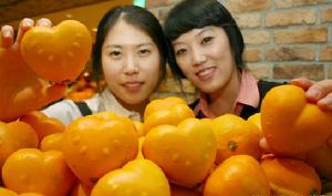 韓國現代百貨公司推出心型桔子