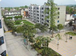 襄樊市襄城區職業高級中學 襄樊市襄城區職業高級中學