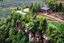 鹿鳴村[四川巴中通江縣瓦室鎮鹿鳴村]