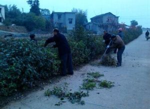 雷打石鎮 雷打石鎮
