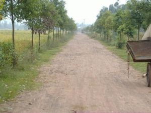 向陽廠村 向陽廠村