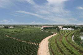 華夏莊園 華夏莊園