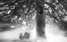 獅子峰[湖北省麻城獅子峰]