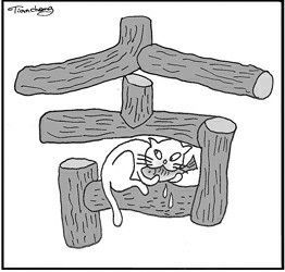 牛欄關貓 牛欄關貓