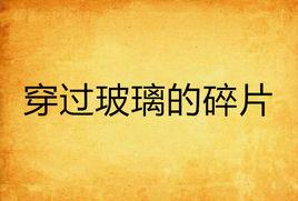 穿過玻璃的碎片 穿過玻璃的碎片