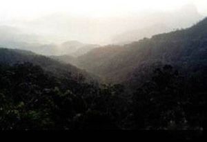 斧頭嶺自然保護區