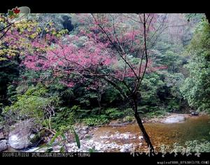 武夷山國家自然保護區