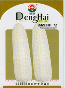西星白糯一號