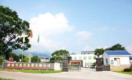 廣東雪花岩茶業有限公司 廣東雪花岩茶業有限公司