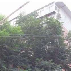 江南水泥廠宿舍 江南水泥廠宿舍