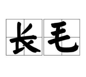 長毛 長毛