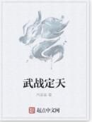 武戰定天