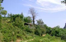 三家寨村[雲南省文山州廣南縣珠琳鎮三家寨村]