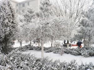 （圖）冬季的校園