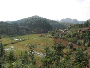 雙龍營鎮 雙龍營鎮