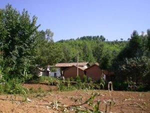 黃草坪東村自然村 黃草坪東村自然村