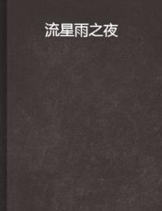 流星雨之夜 流星雨之夜