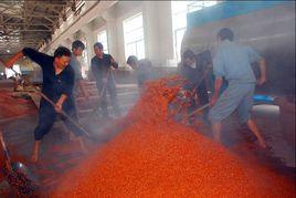 純糧固態發酵 純糧固態發酵