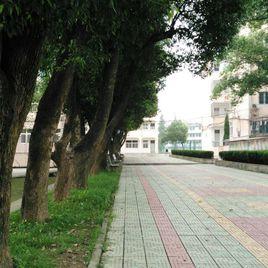 繁昌縣第三中學 繁昌縣第三中學