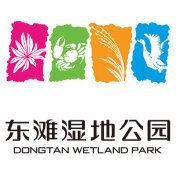 東灘濕地公園 東灘濕地公園