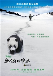 《熊貓回家路》
