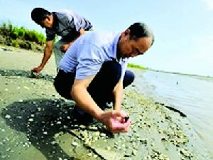 我們就是騙你的