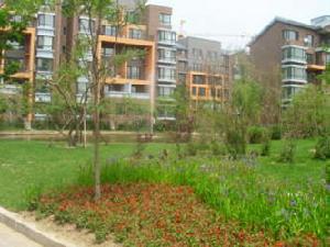 博榮·水立方一期 博榮·水立方一期