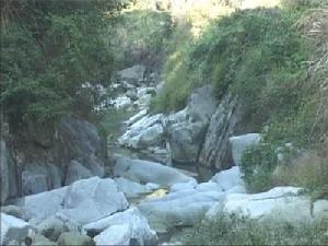 百順山區風景 百順山區風景
