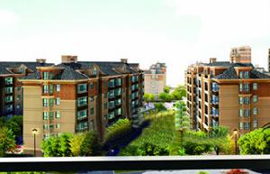 國強幸福彼岸 國強幸福彼岸