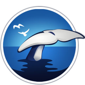 聚存科技 聚存科技