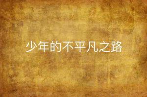 少年的不凡之路